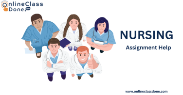 Best Website for Nursing Assignment Help